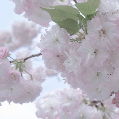 Furry插画故事感灵感福瑞交流群